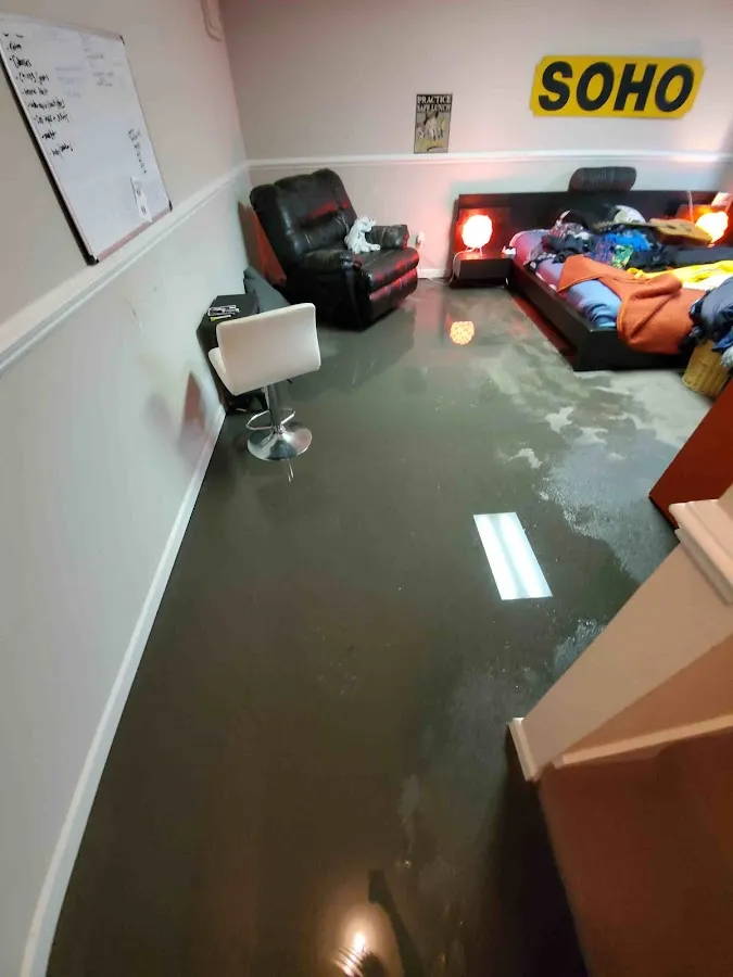 Basement Flood Cleanup in Jamul, CA