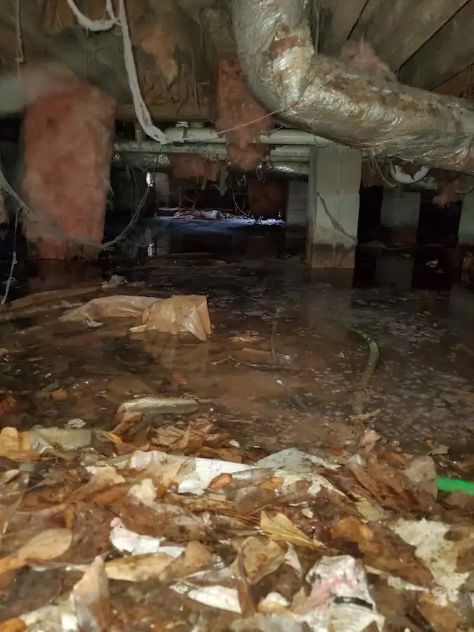 Crawl space flood assessment for Leak Detection & Repair in Jamul