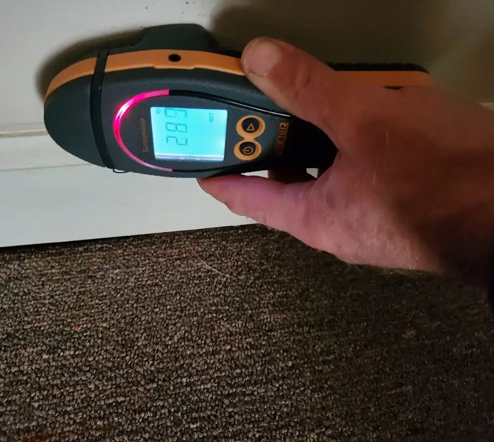 Moisture detection at baseboard during Burst Pipe Cleanup in Jamul